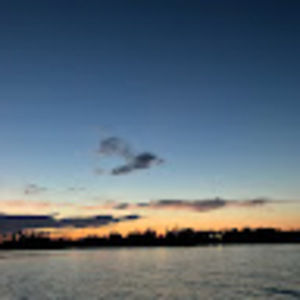 Meet your Posher, Jane